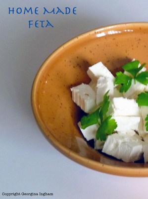 Home Made Feta & Greek Vegetable Stew