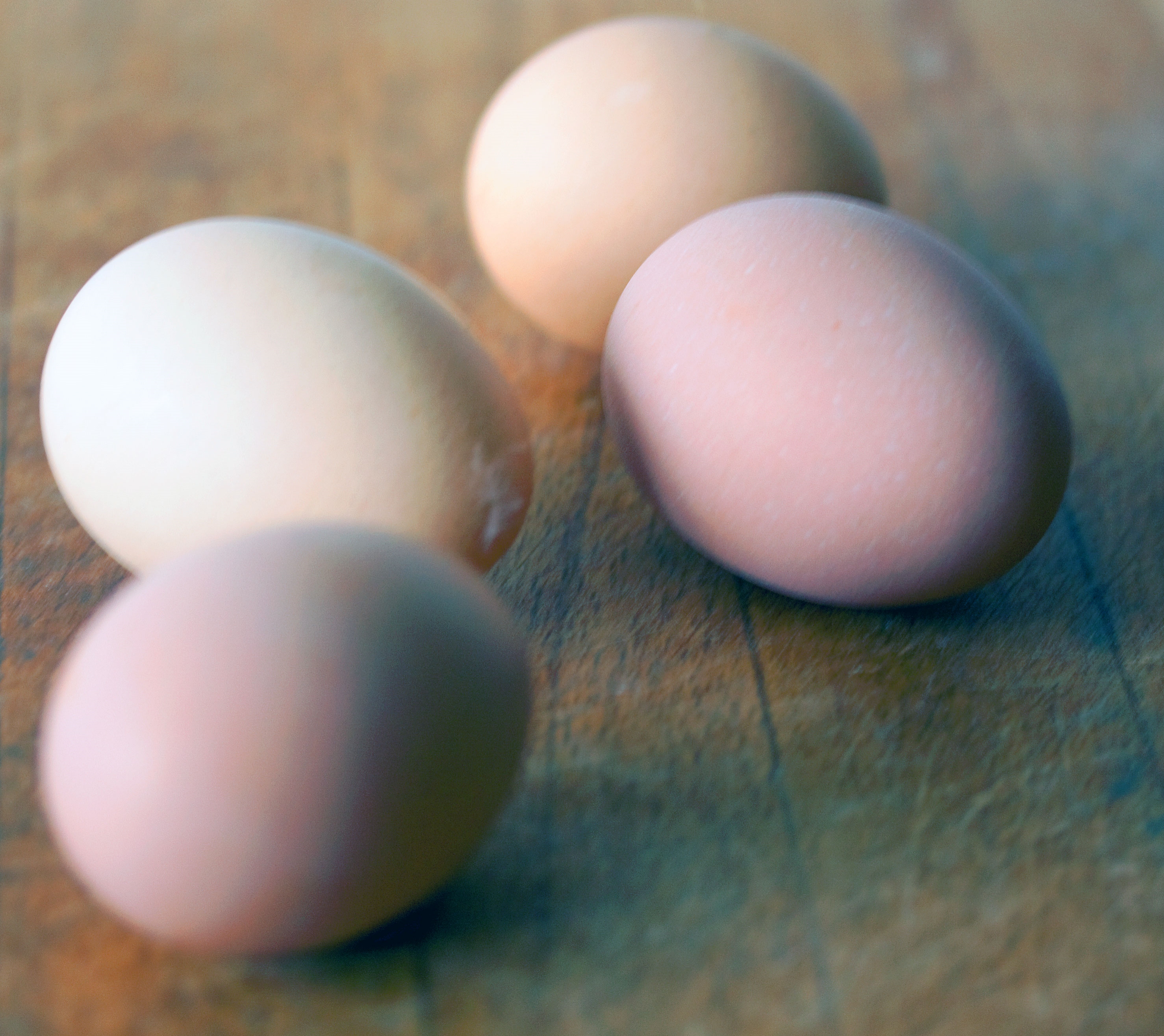 Eggs! | Blog