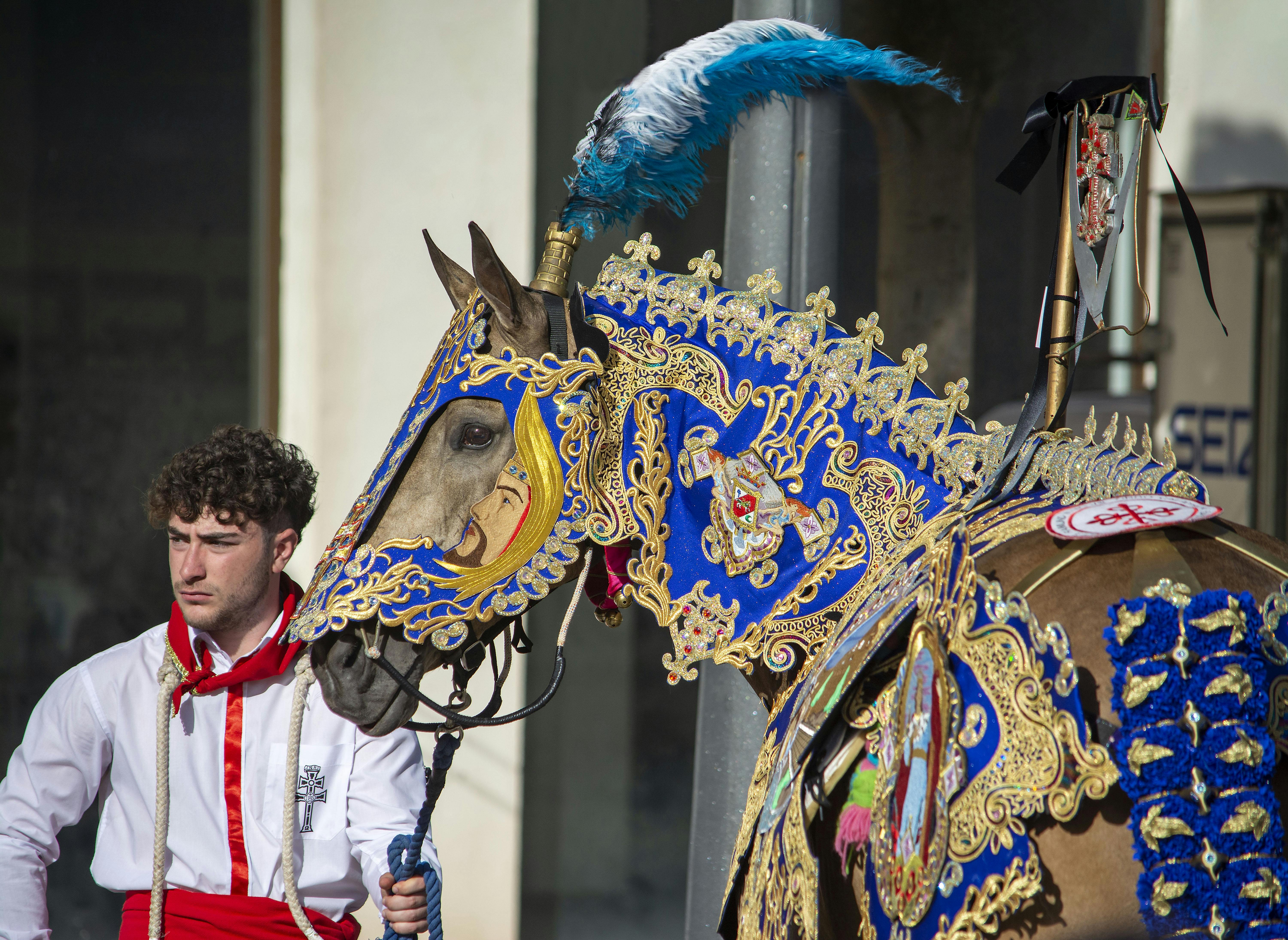 Decorated horse and handler during Caballos del Vino in Caravaca de la Cruz, one of Murcia&rsquo;s most distinctive May festival traditions.