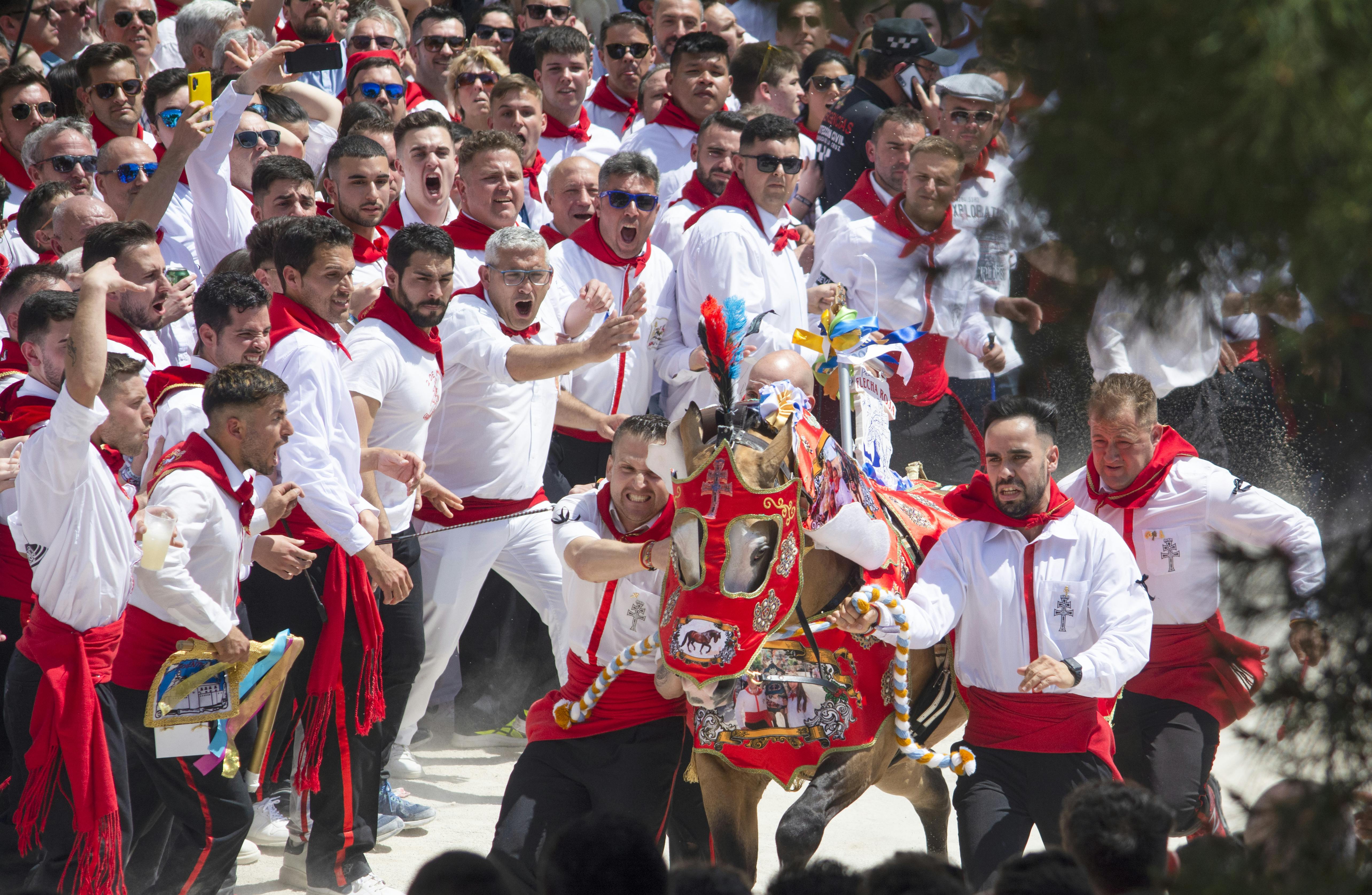 A decorated horse being guided through cheering crowds during Caballos del Vino, the dramatic May festival tradition in Caravaca de la Cruz, Murcia.