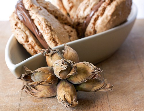 Cobnut Macarons & Cobnut Chocolate Spread